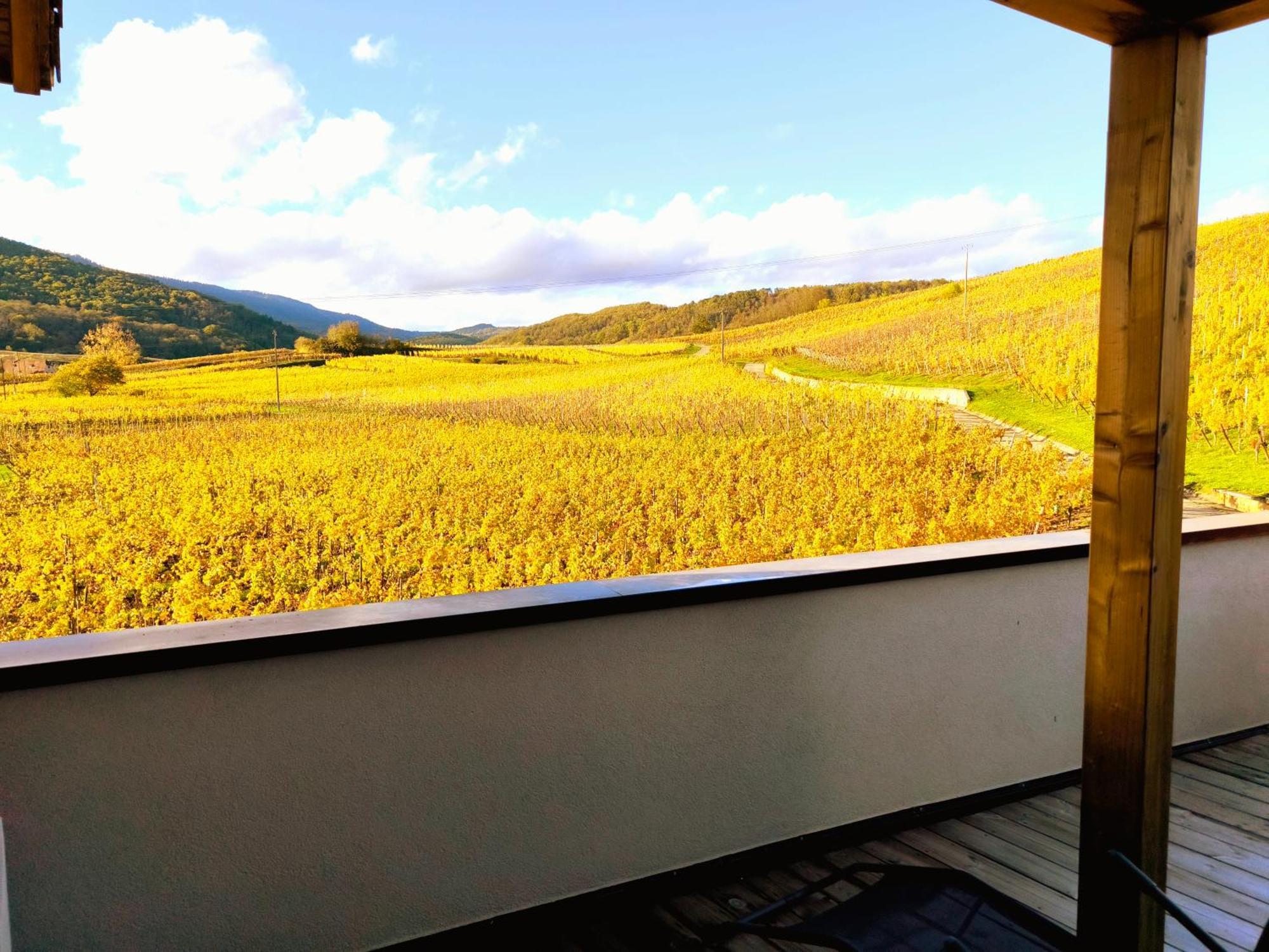 Apartmán L'Horizon Bergheim Exteriér fotografie